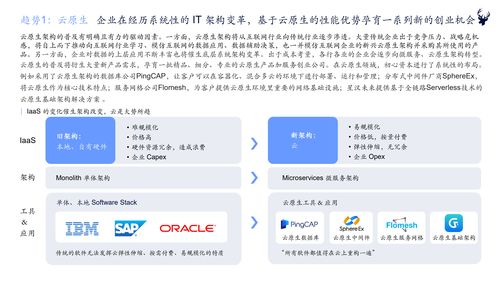 初心資本2021中國企業(yè)服務(wù)新趨勢報告 軟件開發(fā)行業(yè)洞察與展望